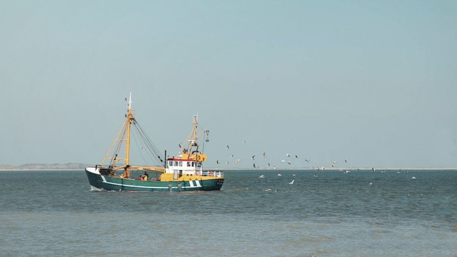 Fishery