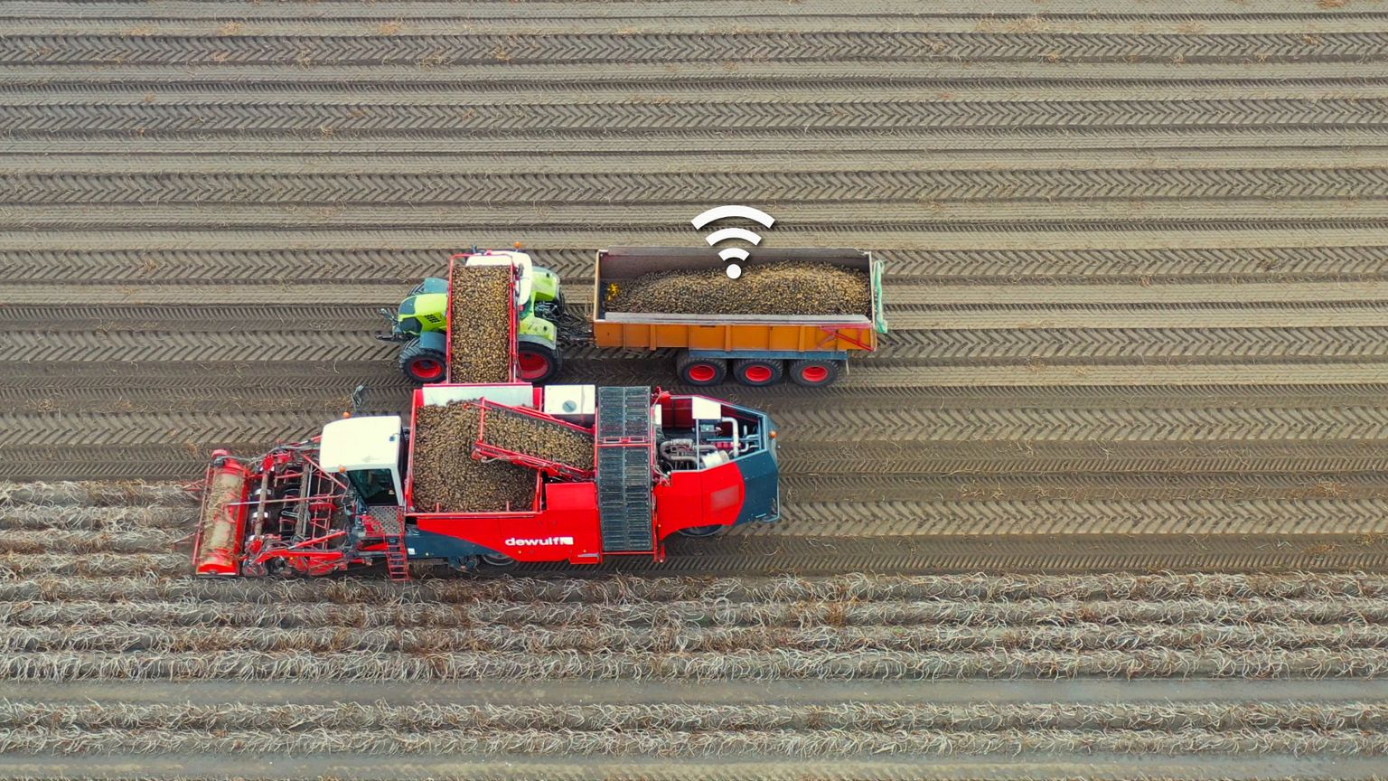 Farms